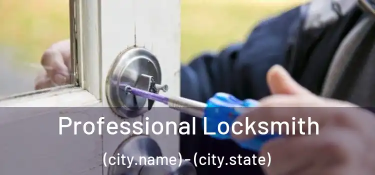Professional Locksmith (city.name) - (city.state)